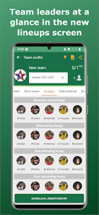 Basketball Stats Assistant Image