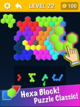 Hexa Block! Triangle Puzzle Image