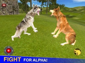 Life Of Wolf - Wild Life Sim Image