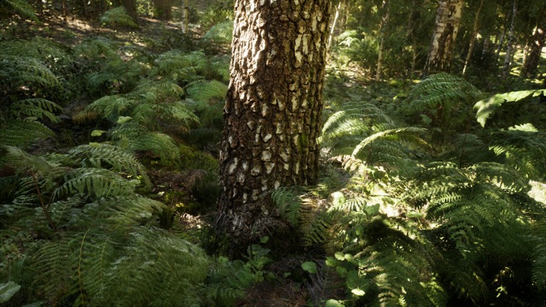 NextVisuals Benchmark Forest screenshot