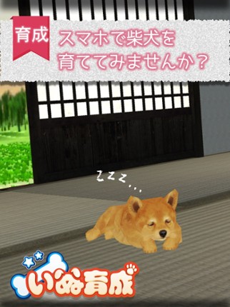 Shibainu Dog Simulator 3D Image
