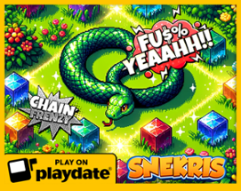 Snekris for playdate Image