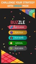 Buzzle Boxed of PuzzleDom Image