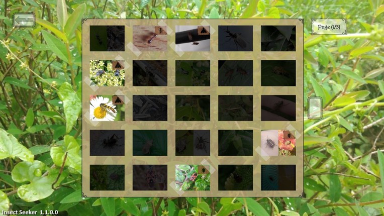 Insect Seeker screenshot