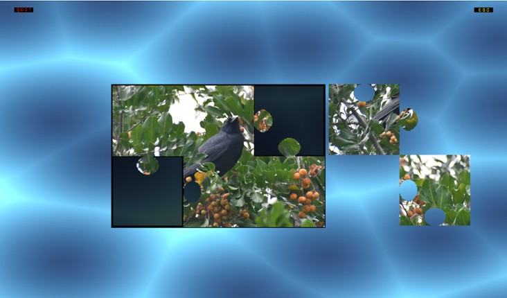 Jon's Jigsaw Puzzle screenshot