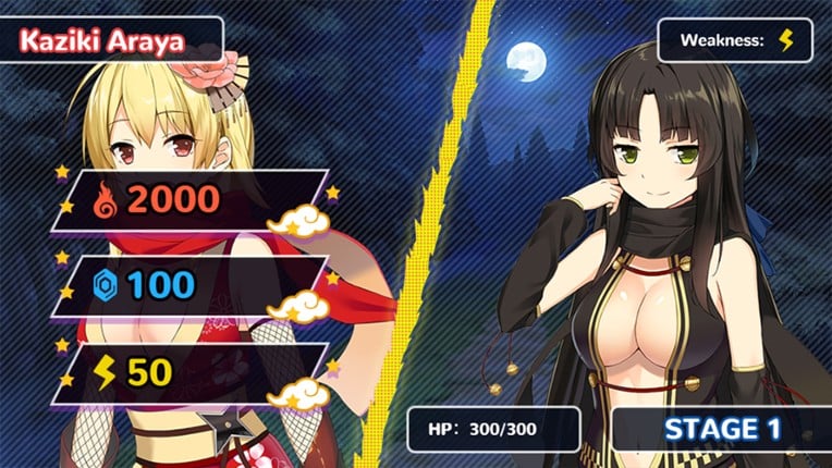 Moe! Ninja Girls screenshot