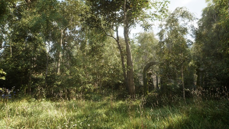 NextVisuals Benchmark Forest screenshot