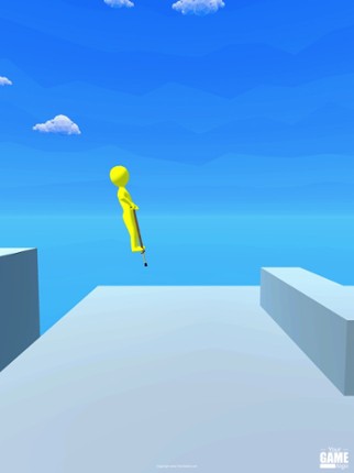 Pogo Flip 3D Image