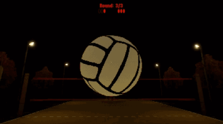 Volleyball With A Stranger Image
