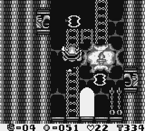 Wario Land: Super Mario Land 3 Image