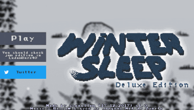 Winter Sleep Image