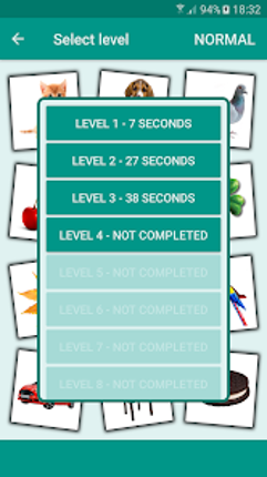 Brain game. Picture Match screenshot