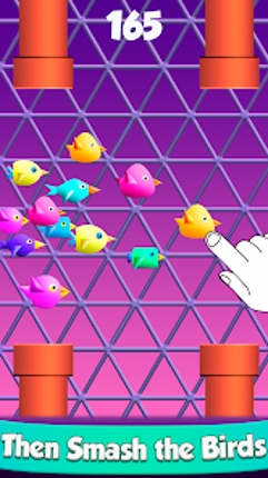 Cool Birds Fun Smash for Kids Image