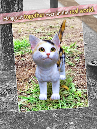 with My CAT Image