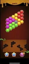 Hexa Block Puzzle Challenge Image