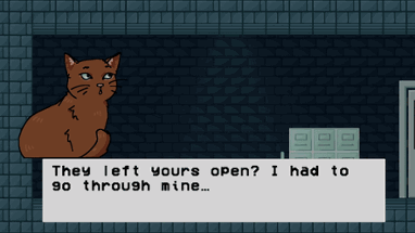 Open Catsket Image