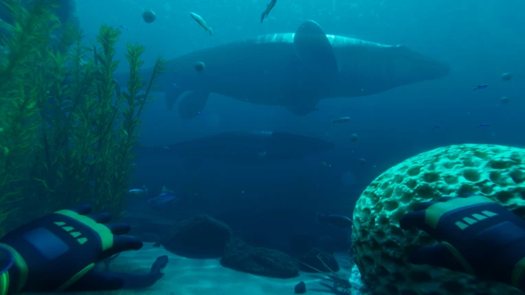 Paleo Dive Image