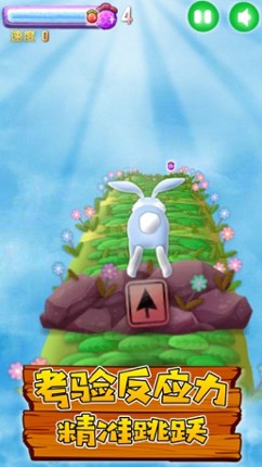 Bunny Rush 2 screenshot