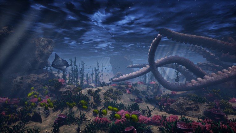 Digital Zoo Gallery screenshot