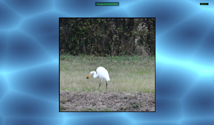 Jon's Jigsaw Puzzle screenshot