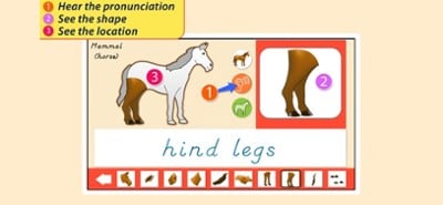 Parts Of Animals - Vertebrates Image