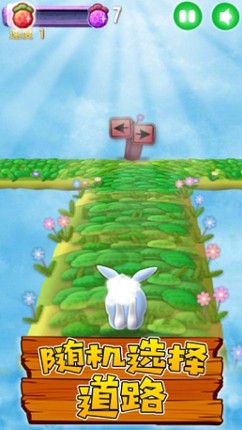 Bunny Rush 2 screenshot