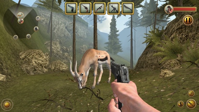 Deer Hunting Challenge 2016 Image