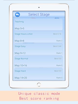 minesweeper - professional screenshot