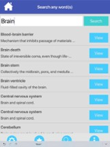 Nervous System Flashcards Image