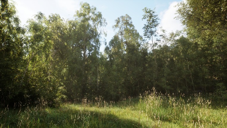 NextVisuals Benchmark Forest screenshot