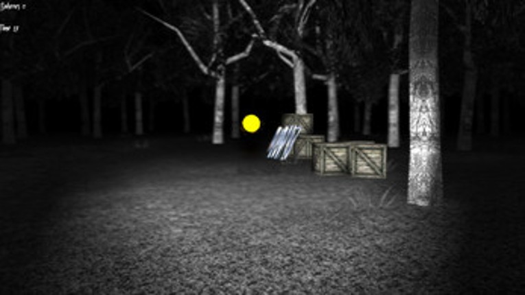 SHADOW (2014) Image