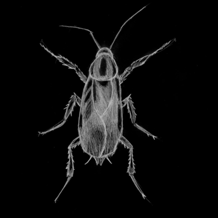 World's Viscera Image