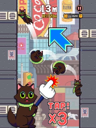 Cat Jump Image