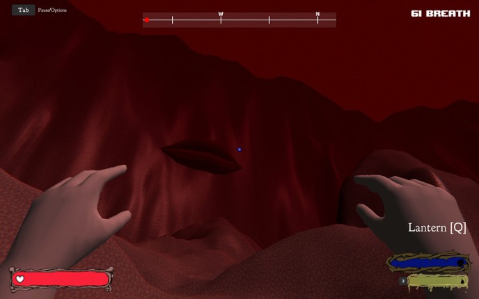 Fleshwalk: An Experience Image