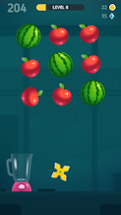 Fruit Master Image