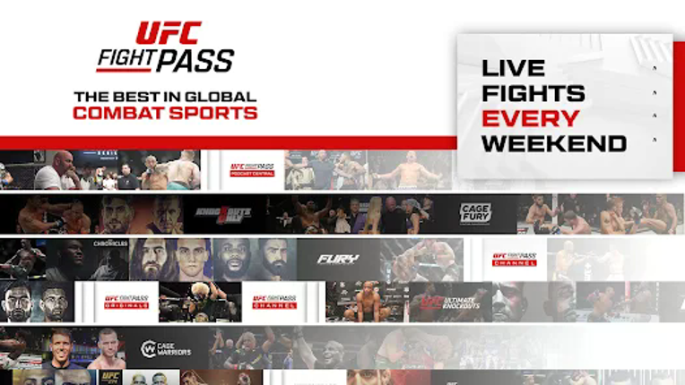 UFC screenshot