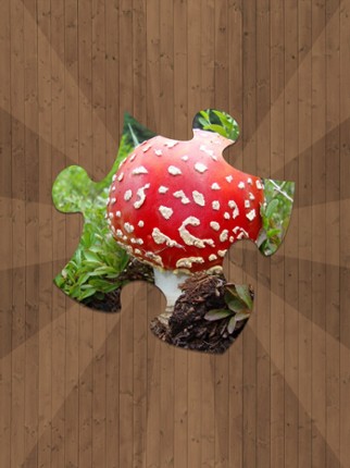 Jigsaw Puzzles - Logical Game for Kids and Adults screenshot