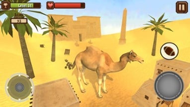 Camel Simulator Image