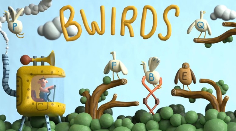 BWIRDS Image