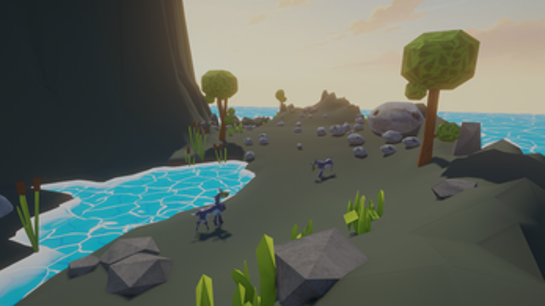 Observation Beauty Image