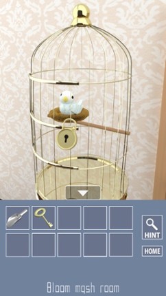 Parrots Escape 2 Image