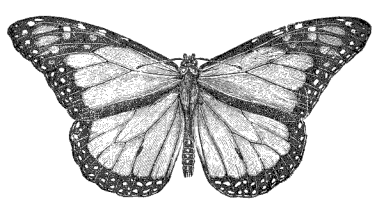 Games like Shuddering Light of the Shadowed Monarch