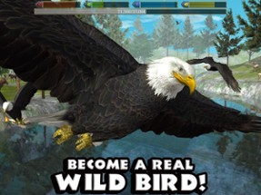 Ultimate Bird Simulator Image