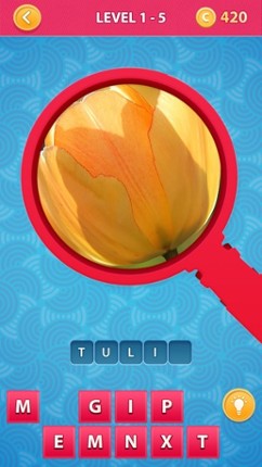 Zoom Pics - close up zoomed images and guess words trivia quiz game screenshot