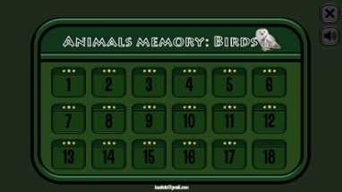 Animals Memory: Birds Image