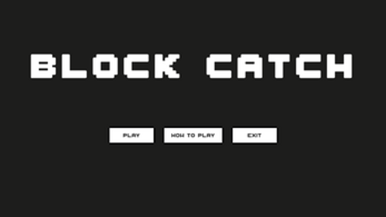 Block Catch Image