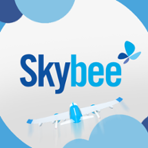 Skybee Image