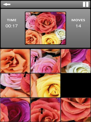Slide Puzzle: World screenshot