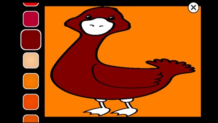 Zoo Cute Animals Coloring Book Image