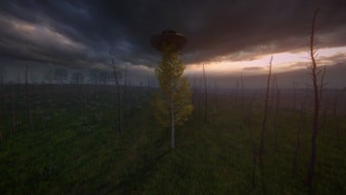 Birch Simulator Image